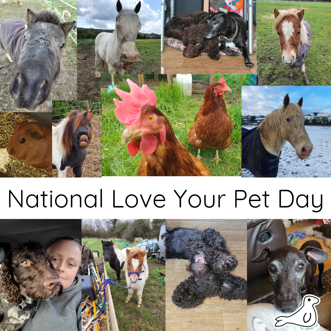 National Love Your Pet Day 2024